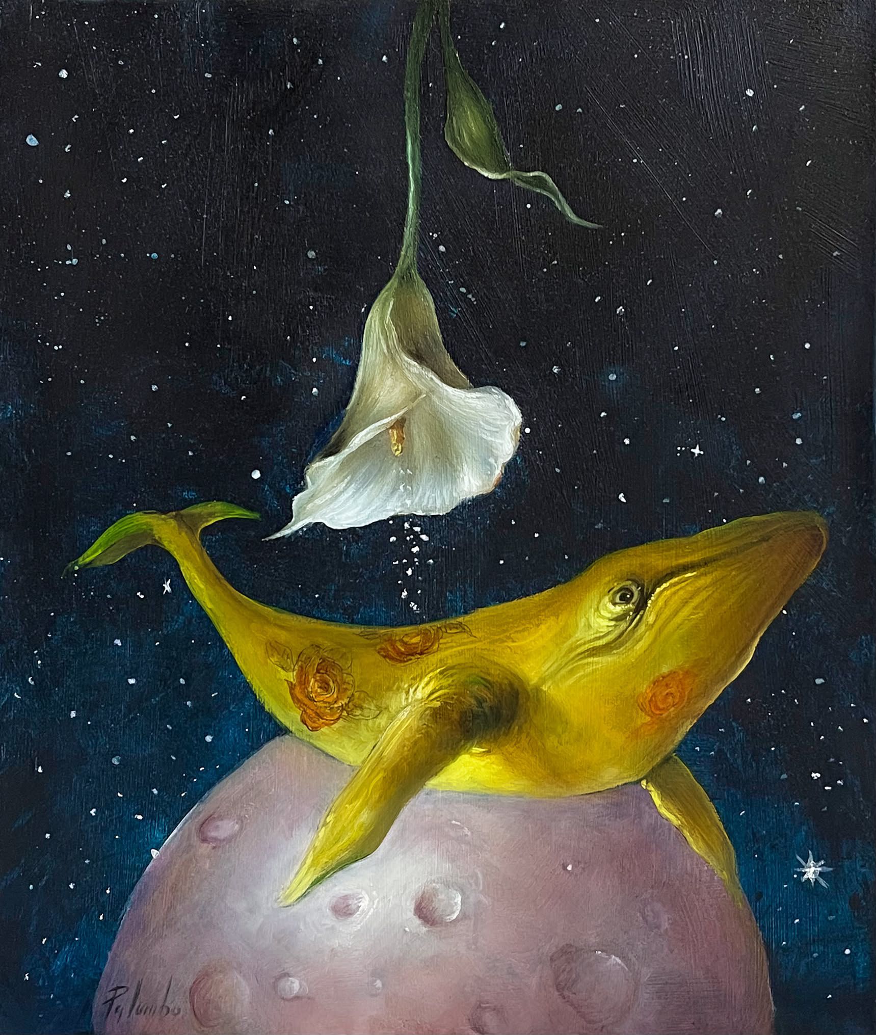 Una visione e pioggia di stelle